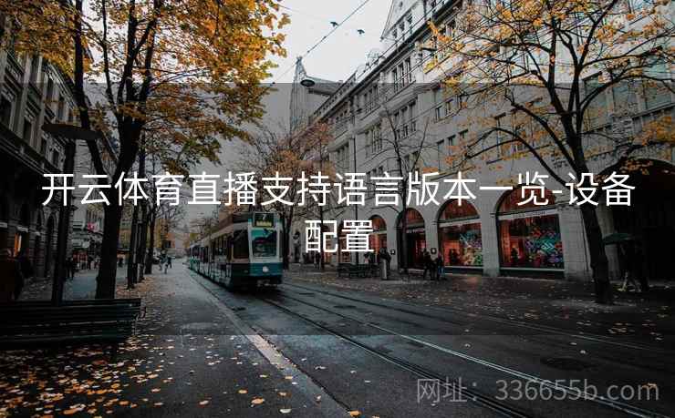 开云体育直播支持语言版本一览-设备配置