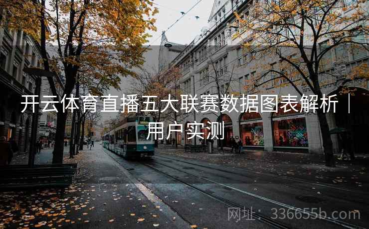 开云体育直播五大联赛数据图表解析｜用户实测