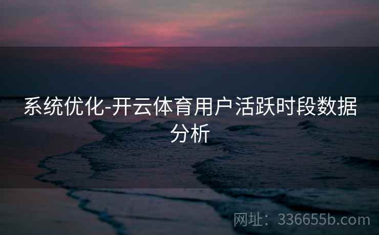系统优化-开云体育用户活跃时段数据分析