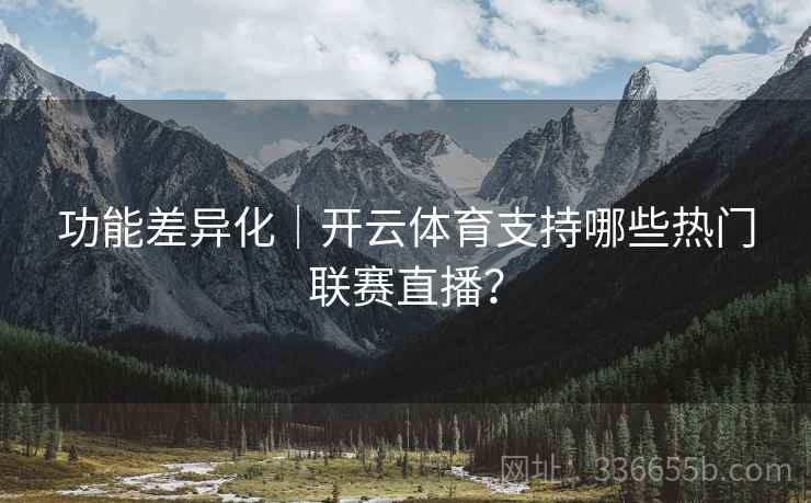 功能差异化｜开云体育支持哪些热门联赛直播？