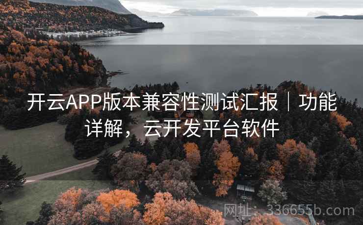 开云APP版本兼容性测试汇报｜功能详解，云开发平台软件